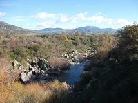 cantara da Mojo30122011 179